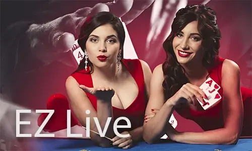 Bingo Promo